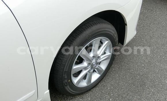 Buy Used Toyota Premio White Car in Kitwe in Zambia Buy Used Toyota Premio White Car in Kitwe in Zambia