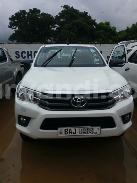 Big with watermark z