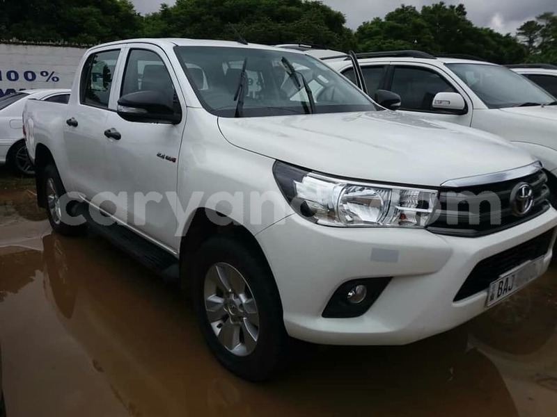 Big with watermark zz