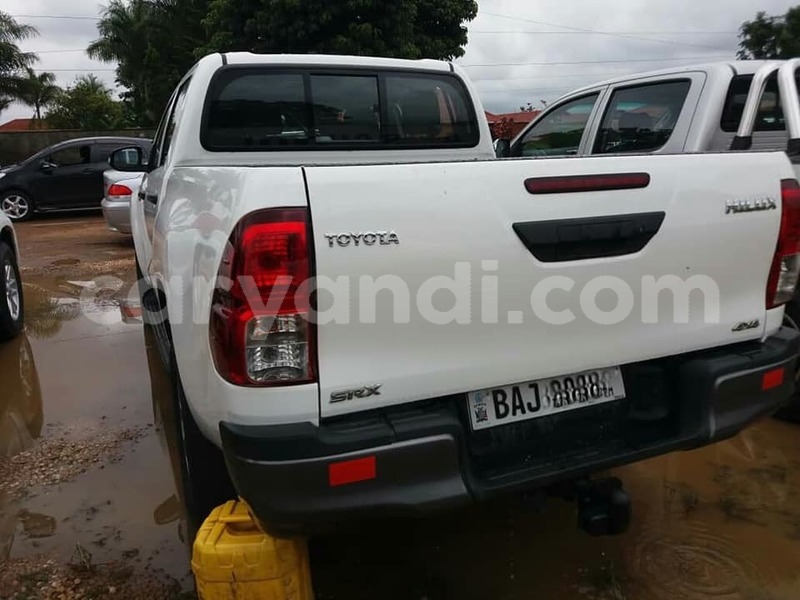 Big with watermark zzz