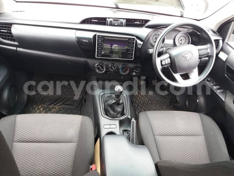 Big with watermark zzzz