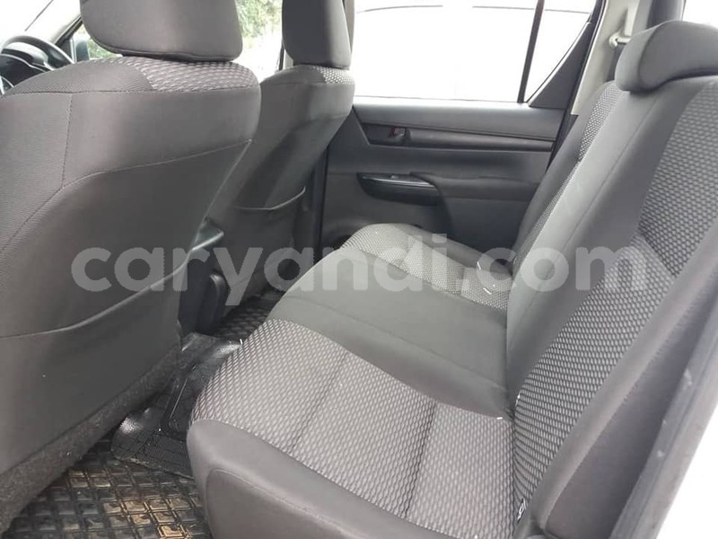 Big with watermark zzzzz