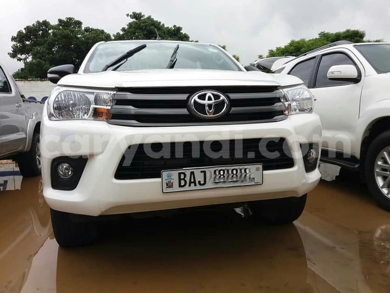 Big with watermark zzzzzz