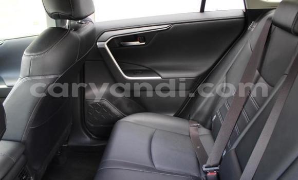 Buy Used Toyota RAV4 Other Car in Livingstone in Zambia Buy Used Toyota RAV4 Other Car in Livingstone in Zambia