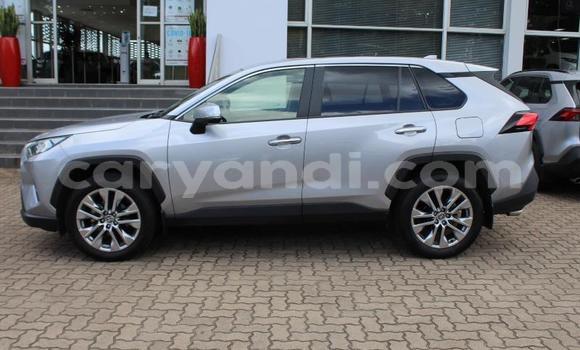 Buy Used Toyota RAV4 Other Car in Livingstone in Zambia Buy Used Toyota RAV4 Other Car in Livingstone in Zambia