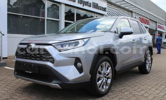 Buy Used Toyota RAV4 Other Car in Livingstone in Zambia Buy Used Toyota RAV4 Other Car in Livingstone in Zambia