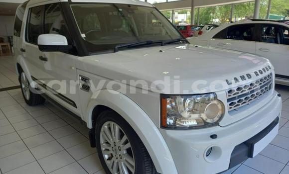 Acheter Occasion Voiture Land Rover Discovery Blanc à Livingstone, Zambie