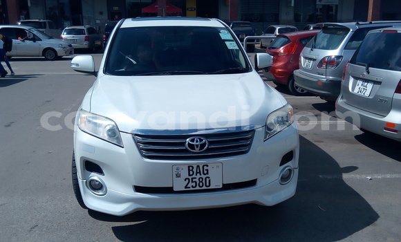 Buy Used Toyota Vanguard White Car in Lusaka in Zambia Buy Used Toyota Vanguard White Car in Lusaka in Zambia