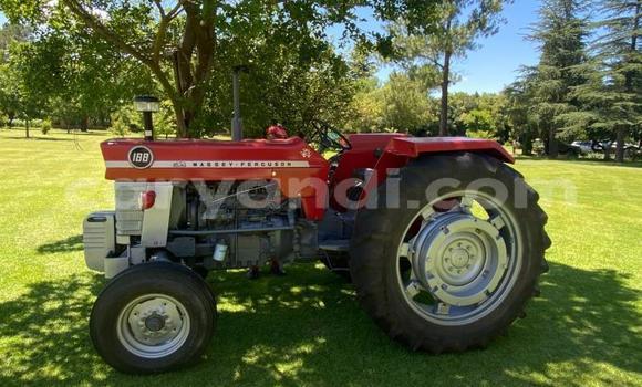 Buy Used Ricomag BW200 Red Truck in Kabwe in Zambia Buy Used Ricomag BW200 Red Truck in Kabwe in Zambia