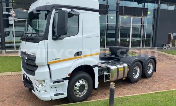 Buy Used Mercedes–Benz 2644 White Truck in Lusaka in Zambia