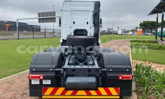 Buy Used Mercedes–Benz 2644 White Truck in Lusaka in Zambia Buy Used Mercedes–Benz 2644 White Truck in Lusaka in Zambia