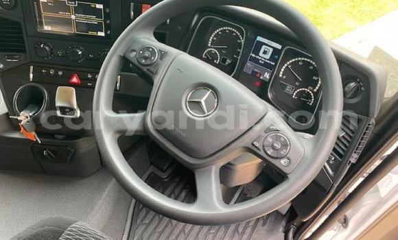 Buy Used Mercedes–Benz 2644 White Truck in Lusaka in Zambia Buy Used Mercedes–Benz 2644 White Truck in Lusaka in Zambia