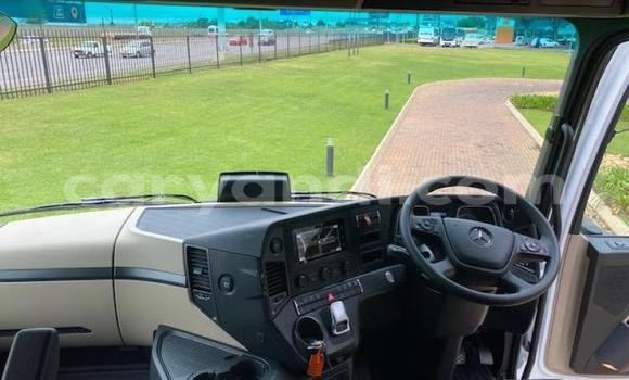 Buy Used Mercedes–Benz 2644 White Truck in Lusaka in Zambia Buy Used Mercedes–Benz 2644 White Truck in Lusaka in Zambia