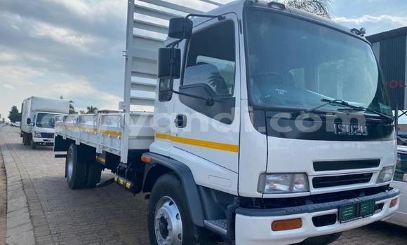 Buy Used Isuzu FTR 850 White Truck in Kabwe in Zambia