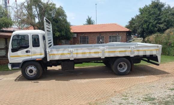 Buy Used Isuzu FTR 850 White Truck in Kabwe in Zambia Buy Used Isuzu FTR 850 White Truck in Kabwe in Zambia