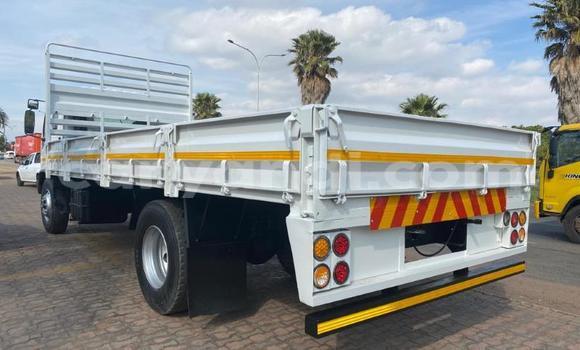 Buy Used Isuzu FTR 850 White Truck in Kabwe in Zambia Buy Used Isuzu FTR 850 White Truck in Kabwe in Zambia
