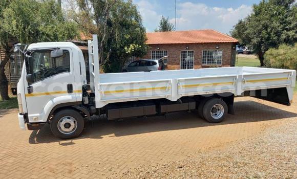 Nunua Ilio tumika Isuzu FTR 850 Nyeupe Lori ndani ya Kabwe nchini Zambia Nunua Ilio tumika Isuzu FTR 850 Nyeupe Lori ndani ya Kabwe nchini Zambia