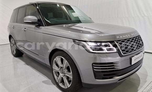 Acheter Occasion Voiture Land Rover Range Rover Vogue Gris à Lusaka, Zambie