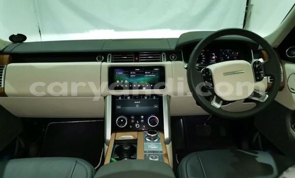 Tenga Tsaru Land Rover Range Rover Vogue Sirivha Mota in Lusaka in Zambia Tenga Tsaru Land Rover Range Rover Vogue Sirivha Mota in Lusaka in Zambia