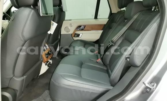 Tenga Tsaru Land Rover Range Rover Vogue Sirivha Mota in Lusaka in Zambia Tenga Tsaru Land Rover Range Rover Vogue Sirivha Mota in Lusaka in Zambia