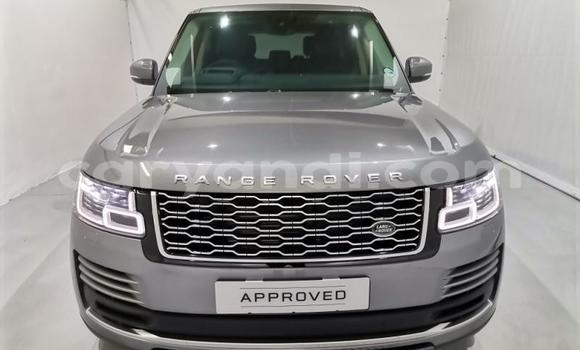 Tenga Tsaru Land Rover Range Rover Vogue Sirivha Mota in Lusaka in Zambia Tenga Tsaru Land Rover Range Rover Vogue Sirivha Mota in Lusaka in Zambia