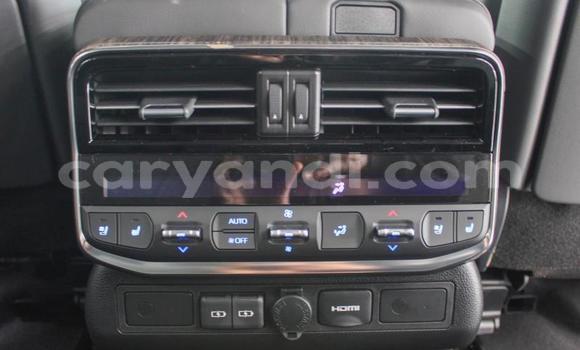 Buy Used Toyota Land Cruiser Silver Car in Lusaka in Zambia Buy Used Toyota Land Cruiser Silver Car in Lusaka in Zambia