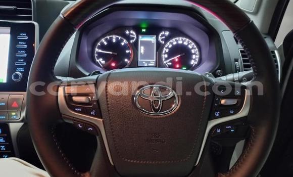 Tenga Tsaru Toyota Land Cruiser Prado Chena Mota in Lusaka in Zambia Tenga Tsaru Toyota Land Cruiser Prado Chena Mota in Lusaka in Zambia