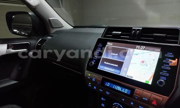 Tenga Tsaru Toyota Land Cruiser Prado Chena Mota in Lusaka in Zambia Tenga Tsaru Toyota Land Cruiser Prado Chena Mota in Lusaka in Zambia