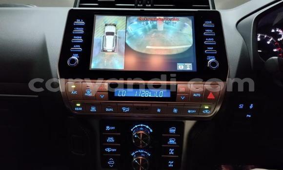 Tenga Tsaru Toyota Land Cruiser Prado Chena Mota in Lusaka in Zambia Tenga Tsaru Toyota Land Cruiser Prado Chena Mota in Lusaka in Zambia