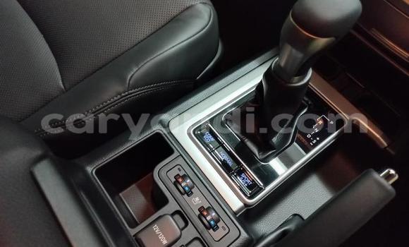 Tenga Tsaru Toyota Land Cruiser Prado Chena Mota in Lusaka in Zambia Tenga Tsaru Toyota Land Cruiser Prado Chena Mota in Lusaka in Zambia