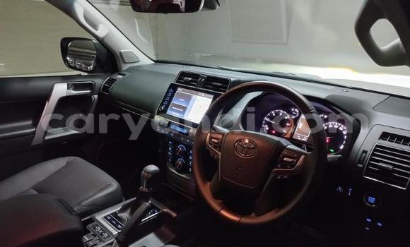 Tenga Tsaru Toyota Land Cruiser Prado Chena Mota in Lusaka in Zambia Tenga Tsaru Toyota Land Cruiser Prado Chena Mota in Lusaka in Zambia