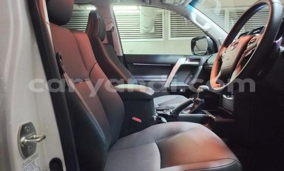 Tenga Tsaru Toyota Land Cruiser Prado Chena Mota in Lusaka in Zambia Tenga Tsaru Toyota Land Cruiser Prado Chena Mota in Lusaka in Zambia