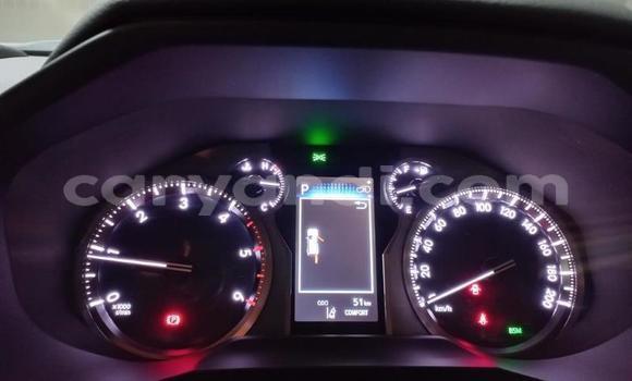 Tenga Tsaru Toyota Land Cruiser Prado Chena Mota in Lusaka in Zambia Tenga Tsaru Toyota Land Cruiser Prado Chena Mota in Lusaka in Zambia