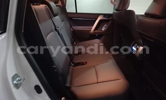 Tenga Tsaru Toyota Land Cruiser Prado Chena Mota in Lusaka in Zambia Tenga Tsaru Toyota Land Cruiser Prado Chena Mota in Lusaka in Zambia