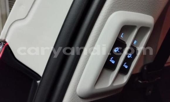 Tenga Tsaru Toyota Land Cruiser Prado Chena Mota in Lusaka in Zambia Tenga Tsaru Toyota Land Cruiser Prado Chena Mota in Lusaka in Zambia