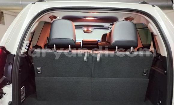 Tenga Tsaru Toyota Land Cruiser Prado Chena Mota in Lusaka in Zambia Tenga Tsaru Toyota Land Cruiser Prado Chena Mota in Lusaka in Zambia