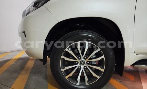 Tenga Tsaru Toyota Land Cruiser Prado Chena Mota in Lusaka in Zambia Tenga Tsaru Toyota Land Cruiser Prado Chena Mota in Lusaka in Zambia