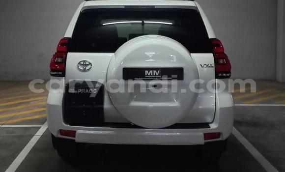 Tenga Tsaru Toyota Land Cruiser Prado Chena Mota in Lusaka in Zambia Tenga Tsaru Toyota Land Cruiser Prado Chena Mota in Lusaka in Zambia