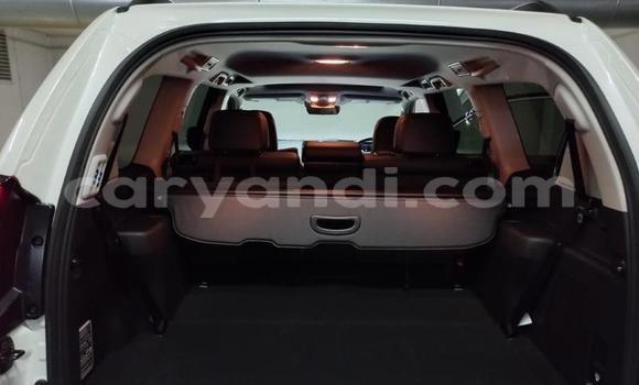 Tenga Tsaru Toyota Land Cruiser Prado Chena Mota in Lusaka in Zambia Tenga Tsaru Toyota Land Cruiser Prado Chena Mota in Lusaka in Zambia