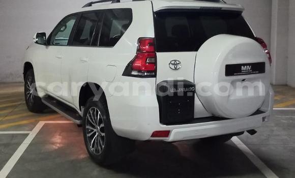 Tenga Tsaru Toyota Land Cruiser Prado Chena Mota in Lusaka in Zambia Tenga Tsaru Toyota Land Cruiser Prado Chena Mota in Lusaka in Zambia