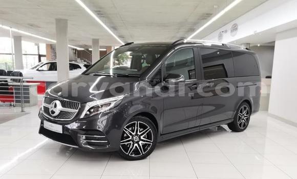 Tenga Tsaru Mercedes‒Benz V-klasse Nhema Mota in Lusaka in Zambia