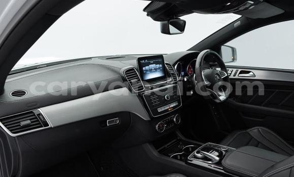 Tenga Tsaru MercedesâBenz GLE Coupe Chena Mota in Lusaka in Zambia Tenga Tsaru MercedesâBenz GLE Coupe Chena Mota in Lusaka in Zambia