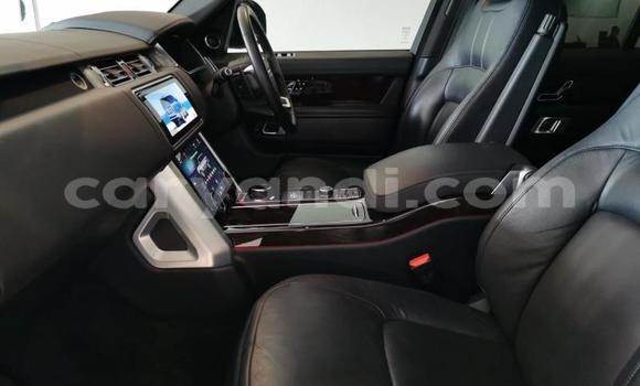 Buy Used Land Rover Range Rover Evoque Other Car in Lusaka in Zambia Buy Used Land Rover Range Rover Evoque Other Car in Lusaka in Zambia