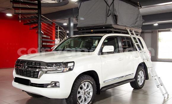 Buy Used Toyota Land Cruiser White Car in Lusaka in Zambia Buy Used Toyota Land Cruiser White Car in Lusaka in Zambia
