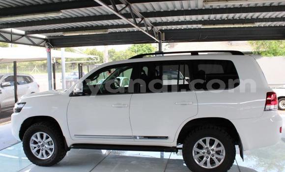 Buy Used Toyota Land Cruiser White Car in Livingstone in Zambia Buy Used Toyota Land Cruiser White Car in Livingstone in Zambia