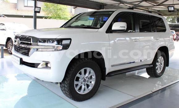 Buy Used Toyota Land Cruiser White Car in Livingstone in Zambia Buy Used Toyota Land Cruiser White Car in Livingstone in Zambia