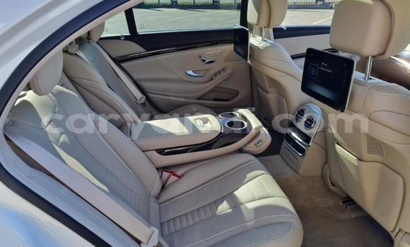 Buy Used Mercedes‒Benz S–Class White Car in Lusaka in Zambia Buy Used Mercedes‒Benz S–Class White Car in Lusaka in Zambia