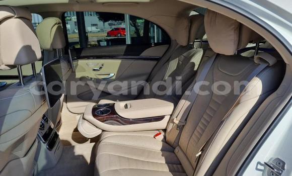 Buy Used Mercedes‒Benz S–Class White Car in Lusaka in Zambia Buy Used Mercedes‒Benz S–Class White Car in Lusaka in Zambia