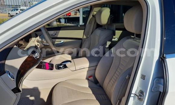 Buy Used Mercedes‒Benz S–Class White Car in Lusaka in Zambia Buy Used Mercedes‒Benz S–Class White Car in Lusaka in Zambia