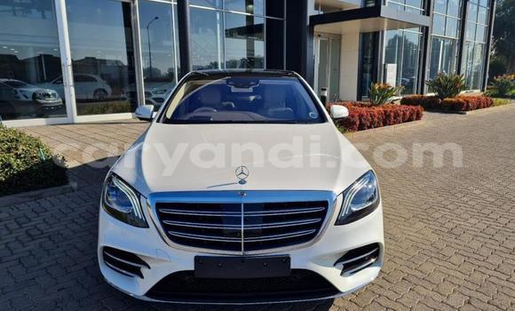 Buy Used Mercedes‒Benz S–Class White Car in Lusaka in Zambia Buy Used Mercedes‒Benz S–Class White Car in Lusaka in Zambia